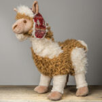 llama-e1565812906236.jpg